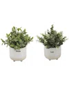 Flora Bunda Euc In 4.75in Love Text + Tea Leaf In Dream Ceramic Footed,set Of 2 In White