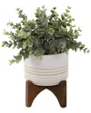 Flora Bunda 4.75in Succulent Mix In Striped Ceramic Pot On Stand In Brown