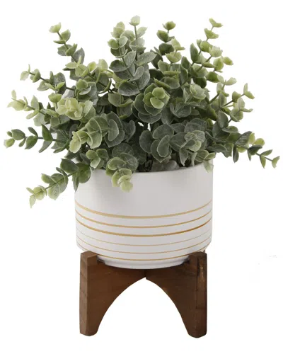 Flora Bunda Eucalyptus In 4.75in Ceramic Pot On Wood Stand In White