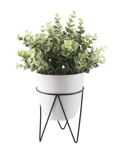 Flora Bunda Eucalyptus In Wh Pot In Bk Stand, 12" In White
