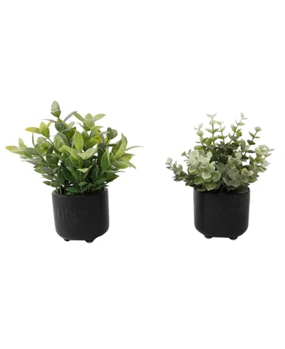 Flora Bunda Eucalyptus Tealeaf In Mini Boo Ceramic Pot Set, 2 Piece In Black