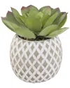Flora Bunda Faux Succulent In 5in Cement Pineapple Planter