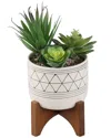Flora Bunda Faux Succulents In Ceramic Footed Stand