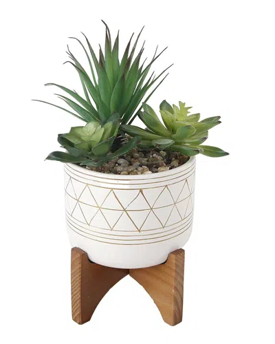 Flora Bunda Faux Succulents In Ceramic Footed Stand In White