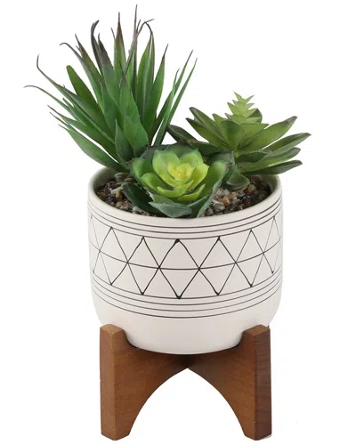 Flora Bunda Faux Succulents In Ceramic Footed Stand In White