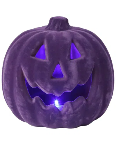 Flora Bunda Led 8in Flocked Pumpkin In Purple