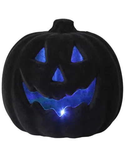 Flora Bunda Led 8inflocked Pumpkin In Black