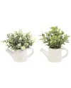 Flora Bunda Set Of 2 Eucalyptus & Tea Leaves In Cathedral Watering Cans In Ivory