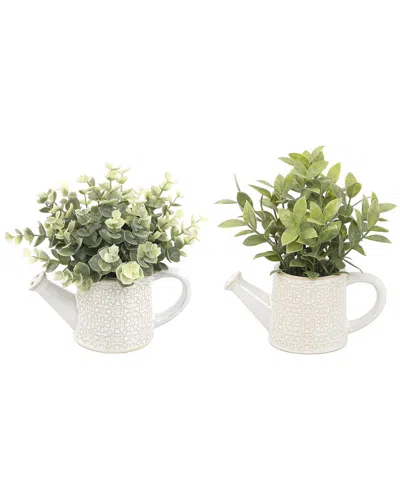 Flora Bunda Set Of 2 Eucalyptus & Tea Leaves In Cathedral Watering Cans In Ivory