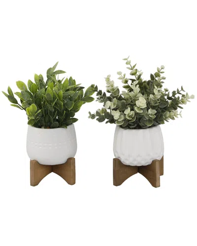 Flora Bunda Set Of 2 Eucalyptus Tea Leaves In Mayan Pots With Stands In White