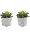 Flora Bunda Set Of 2 Pattern Cement Pot In White