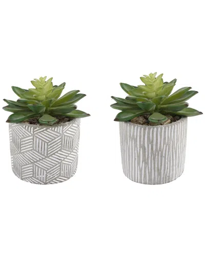 Flora Bunda Set Of 2 Pattern Cement Pot In White