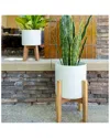 Flora Bunda Set Of 2 Roman Ceramic Planters On Wood Stands In White