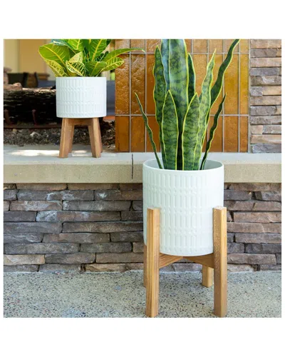 Flora Bunda Set Of 2 Roman Ceramic Planters On Wood Stands In White