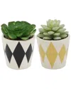 Flora Bunda Set Of 2 Succulents In Diamond Print Ceramic Pots In Black