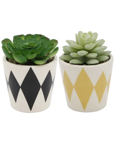 Flora Bunda Set Of 2 Succulents In Diamond Print Ceramic Pots In Black