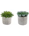 Flora Bunda Set Of 2 Succulents In Pattern Cement Pots In Gray