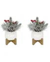 Flora Bunda Set Of 2 Xmas Mix In 4in Cupcake Ceramic On Stand In White