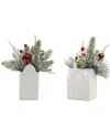 Flora Bunda Set Of 2 Xmas Mix In House Ceramic Pot In White