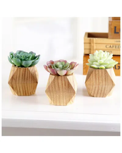 Flora Bunda Set Of 3 Faux Succulent In Wood Pot In Brown
