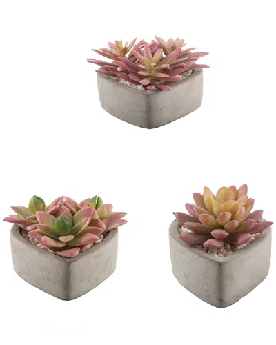 Flora Bunda Set Of 3 Succulents In Heart Vases In Gray