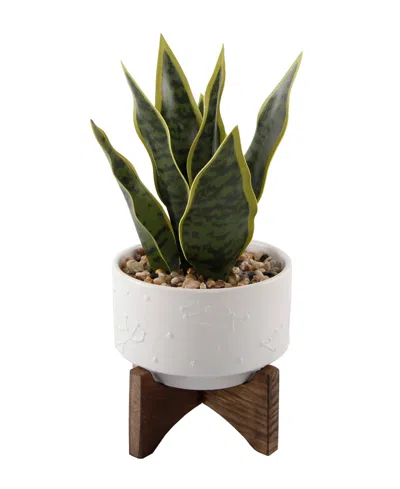 Flora Bunda Snake Plant In Constellation Ceramic Pot On Stand, 9.7" In White