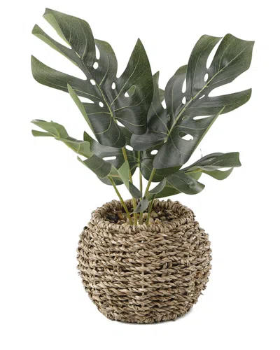 Flora Bunda Split Leaf In 6in Basket In Brown