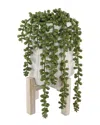 Flora Bunda String Of Pearls Donkey Tail In Ceramic Pot With Wood Stand In Green
