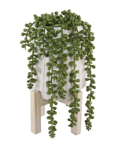 Flora Bunda String Of Pearls Donkey Tail In Ceramic Pot With Wood Stand In Green
