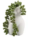 Flora Bunda String Of Pearls In 5.5in Ceramic Vase