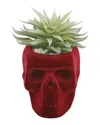Flora Bunda Succ In Burgundy Flocked Skull In Burgundy