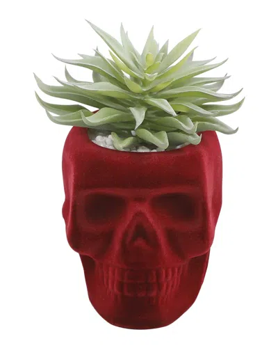 Flora Bunda Succ In Burgundy Flocked Skull