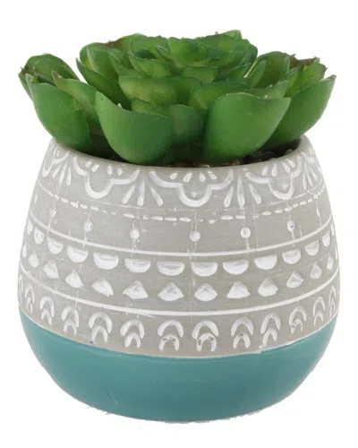 Flora Bunda Succulent In 2 Tone Mayan Ceramic Pot In Teal