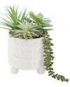 Flora Bunda Succulent Mix In 6in Footed Catheral In White