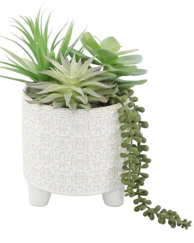 Flora Bunda Succulent Mix In 6in Footed Catheral In White