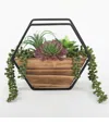 Flora Bunda Succulent Wall Pocket In Brown