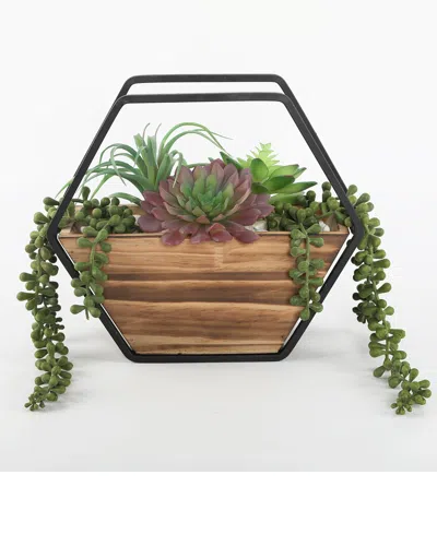 Flora Bunda Succulent Wall Pocket In Brown