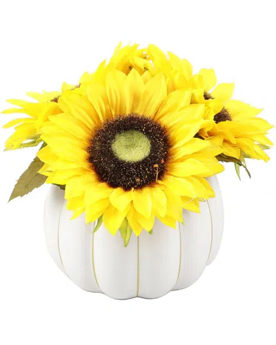 Flora Bunda Sunflowers In White