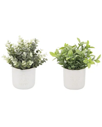 Flora Bunda Tea Leaf & Eucalyptus In Ceramic Pots In White
