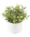 Flora Bunda Tealeaf Hello Pumpkin In Ivory