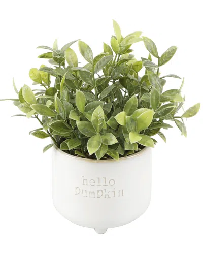 Flora Bunda Tealeaf Hello Pumpkin In Ivory