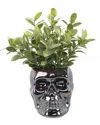 Flora Bunda Tealeaf In Metalic Black Skull In Black