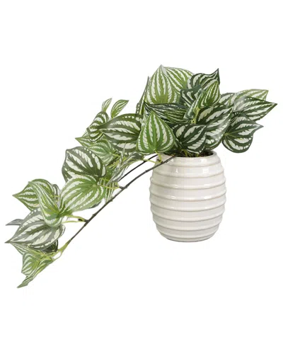 Flora Bunda Trailing Ivy In 4.75in Ceramic Planter In Green