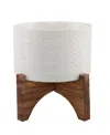 Flora Bunda Wavy Ceramic Planter On Wood Stand, 6.25" In Matte White