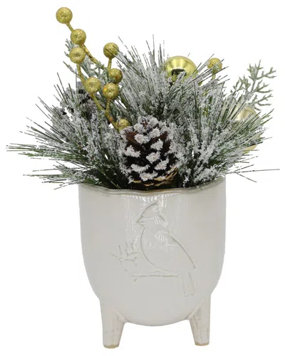Flora Bunda Xmas Mix In 4.5in Cardinal Ceramic Footed Pot In White