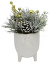 Flora Bunda Xmas Mix In 4.5in Cardinal Ceramic Footed Pot In White