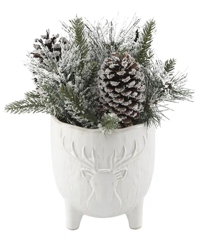 Flora Bunda Xmas Mix In 4.5in Staghead Ceramic Footed Pot In White