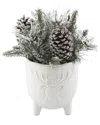 Flora Bunda Xmas Mix In 4.5in Staghead Ceramic Footed Pot In White