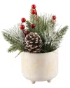 Flora Bunda Xmas Mix In 4.75in Berries Ceramic Footed In White