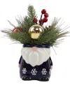 Flora Bunda Xmas Mix In Gnome Ceramic Pot In Navy